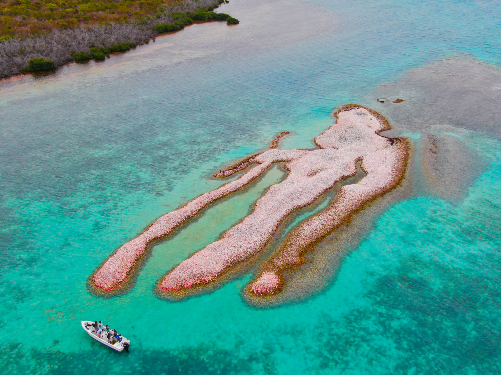 Conch Island