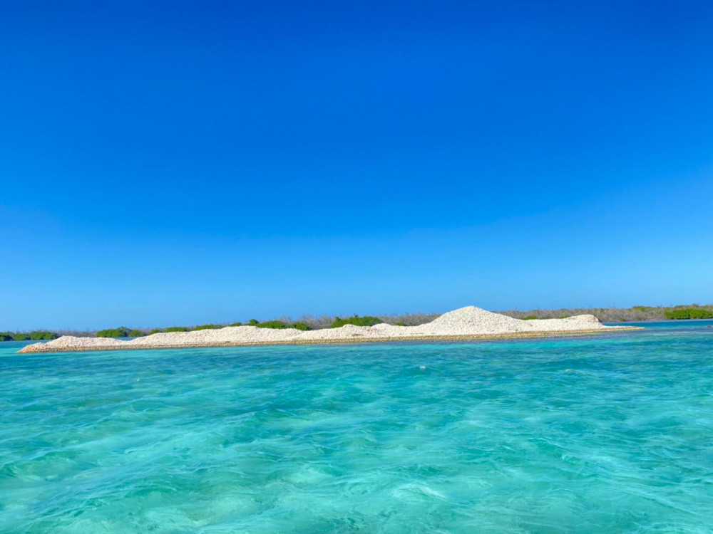 Anegada Conch Island