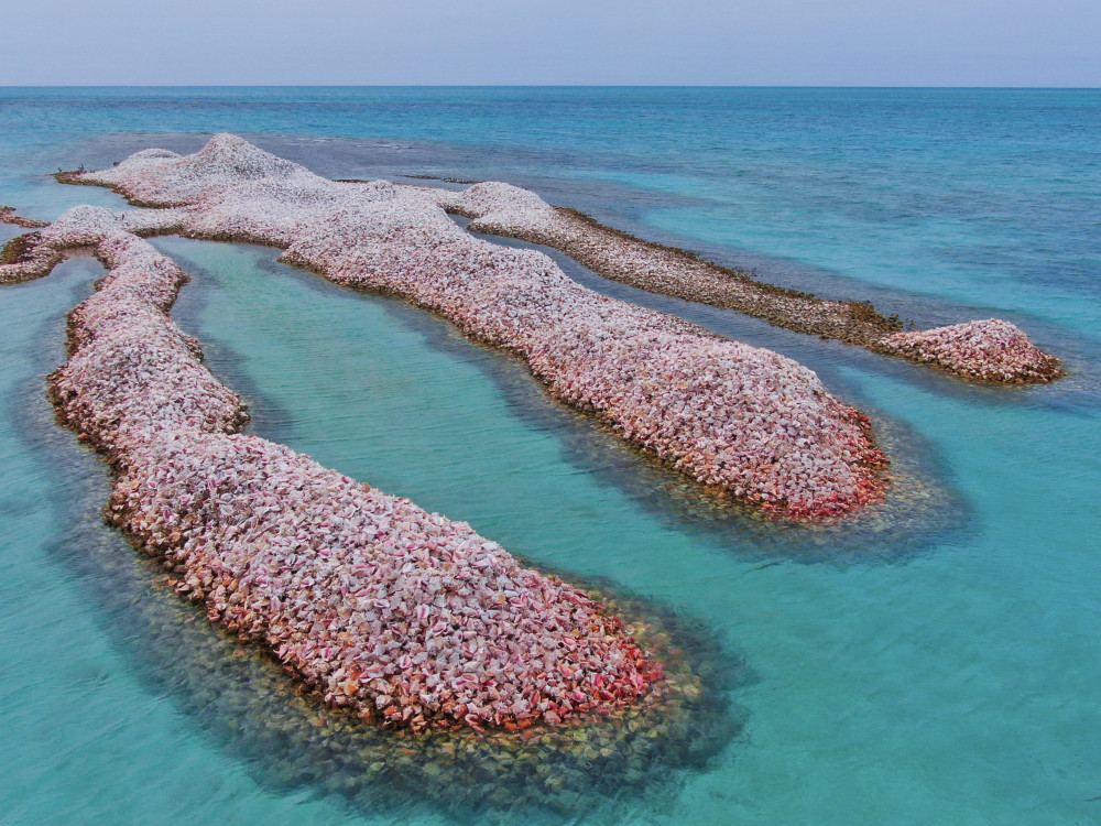 Anegada Conch Island