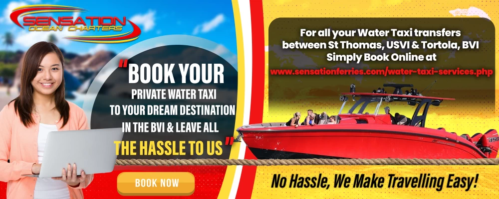 water-taxi-ad-1.webp