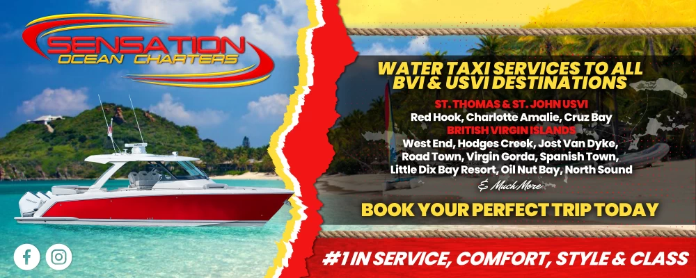 water-taxi-ad-2.webp